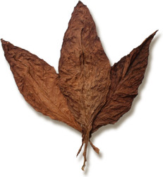 Fronto Leaf